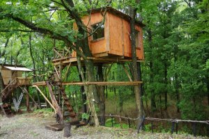 Brown Treehouse