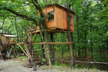 <p>Brown Treehouse</p>