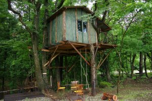 Green Treehouse