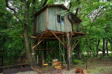 <p>Green Treehouse</p>