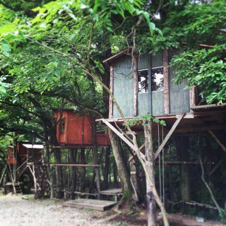 Tree House Camping in Tochigi