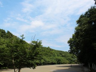 A clear sky and lush green trees