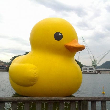 Rubber Duck Project di Onomichi