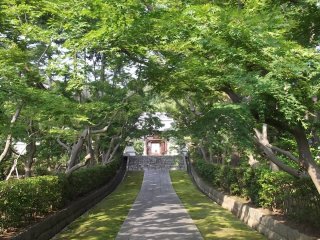 The path from the gate to the inner precinct