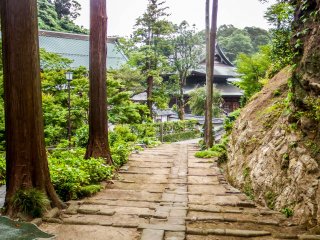 Il est possible de voir le temple Kenchō-ji bien avant d&#39;entrer sur le site