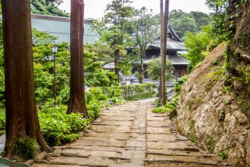 <p>It is possible to see Kencho-ji Temple well before actually entering its grounds&nbsp;</p>