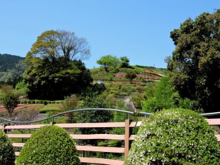 Beautifully landscaped hill garden
