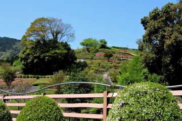<p>Beautifully landscaped hill garden</p>