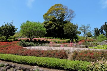 สวน Kenritsu Aikawa ในคะนะกะวะ