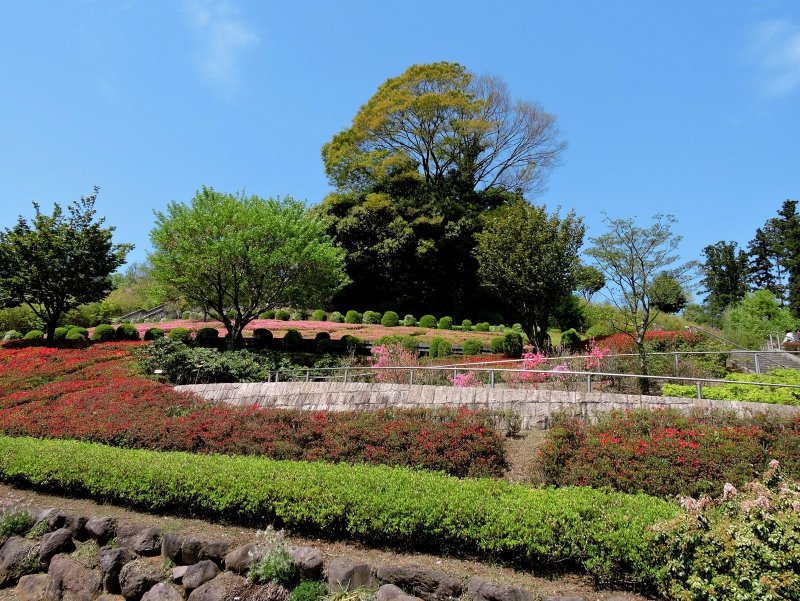 <p>Paths zigzag through the garden to the top of the hill</p>
