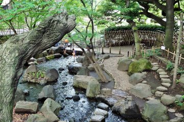 <p>Togoshi Koen is a lovely, green oasis in Shinagawa Ward.</p>