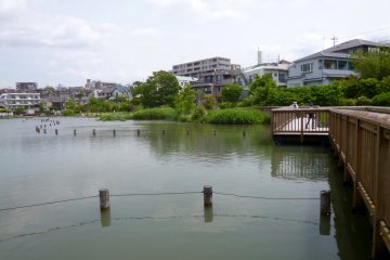 <p>Koike Koen, in Kamiikedai, is a pleasant park in a quiet neighborhood.</p>