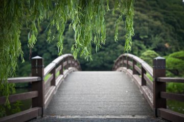 A bridge stretching over the water in the traditional Japanese garden