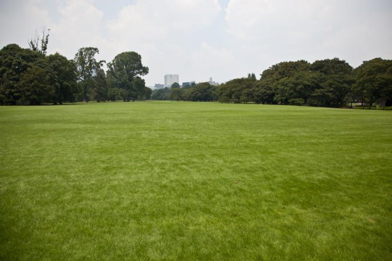 Large parts of the park are wide open soft green grass, ideal for relaxing and enjoying the sunshine