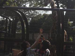 Visitors take photographs with the giraffe.&nbsp;