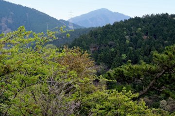 <p>The mountains of Kanagawa are beautiful even on cloudy days</p>