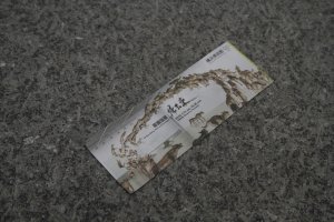 The entrance ticket for the exhibition&nbsp;&#39;There And Back Again&#39; by Cai Guo-Qiang