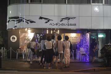 <p>The entrance to the penguin bar, located in&nbsp;Ikebukuro, Tokyo.</p>