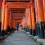 Fushimi Inari Shrine, Day and Night