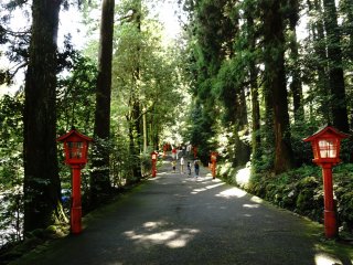 Jalan masuk menuju Hakone Jinja Shrine yang ditumbuhi pohon cedar yang sudah berusia ratusan tahun