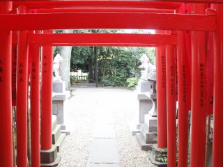 Walking through Mitake shrine.&nbsp;