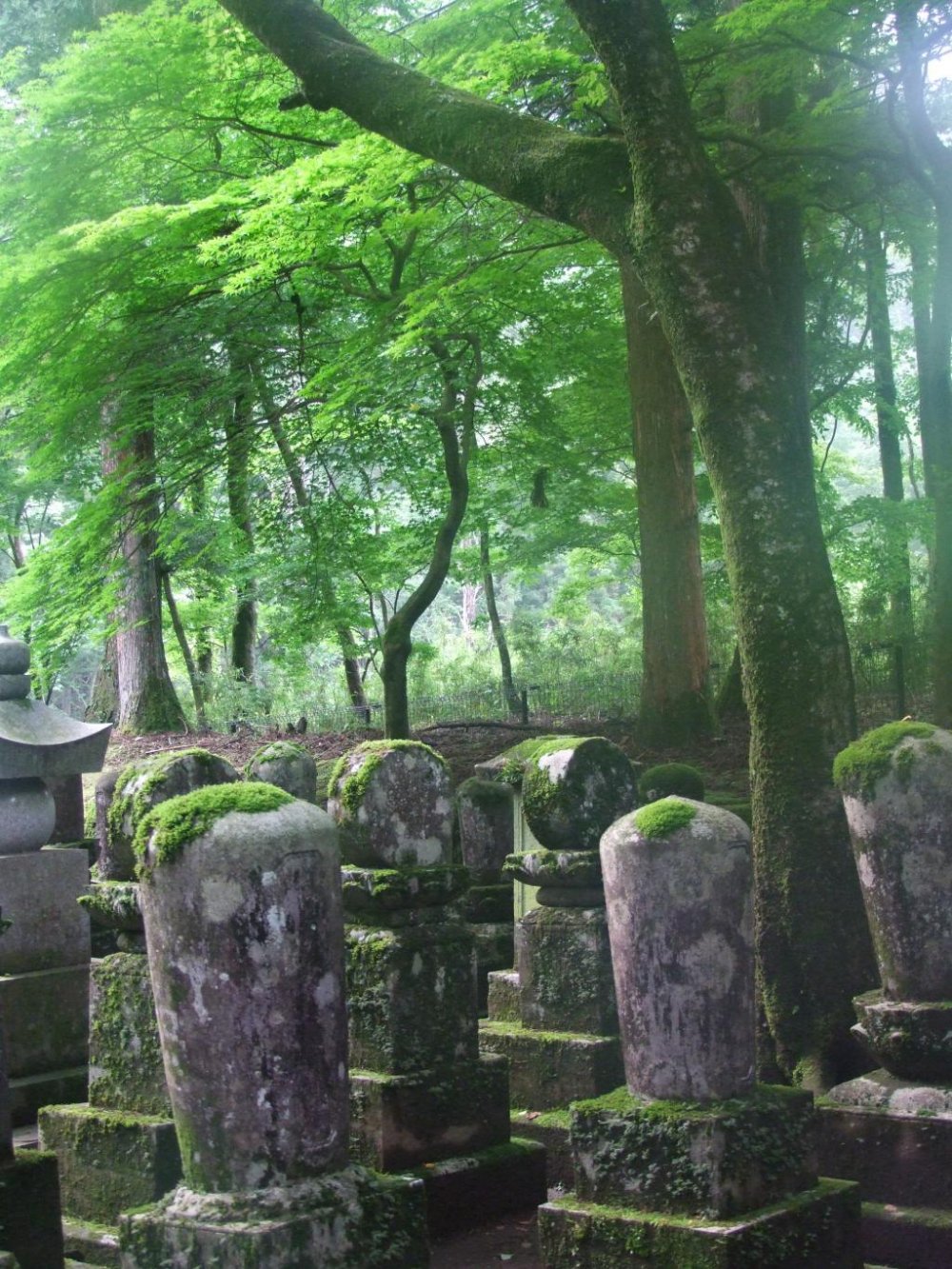 A tranquil final resting place for the monks that served Rinno-ji Temple