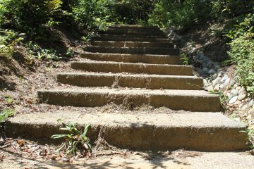 <p>There&#39;s many steps in the park to be explored.</p>