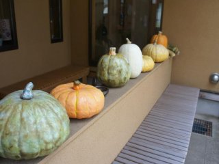 Row of assorted kabocha pumpkins at the entrance of the cafe