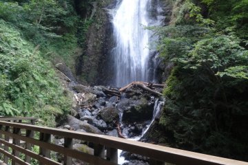 <p>Thirty minutes into the hike, you&#39;ll come across the Mikaeri Falls</p>