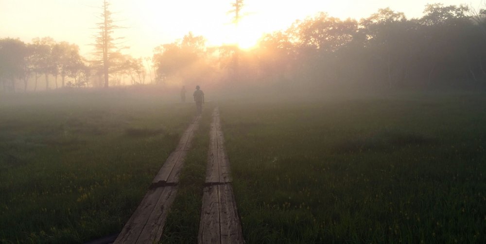 A hiker walks along a wooden path in Oze, which makes it easier to hike the marshes.