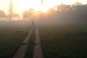 <p>A hiker walks along a wooden path in Oze, which makes it easier to hike the marshes.</p>
