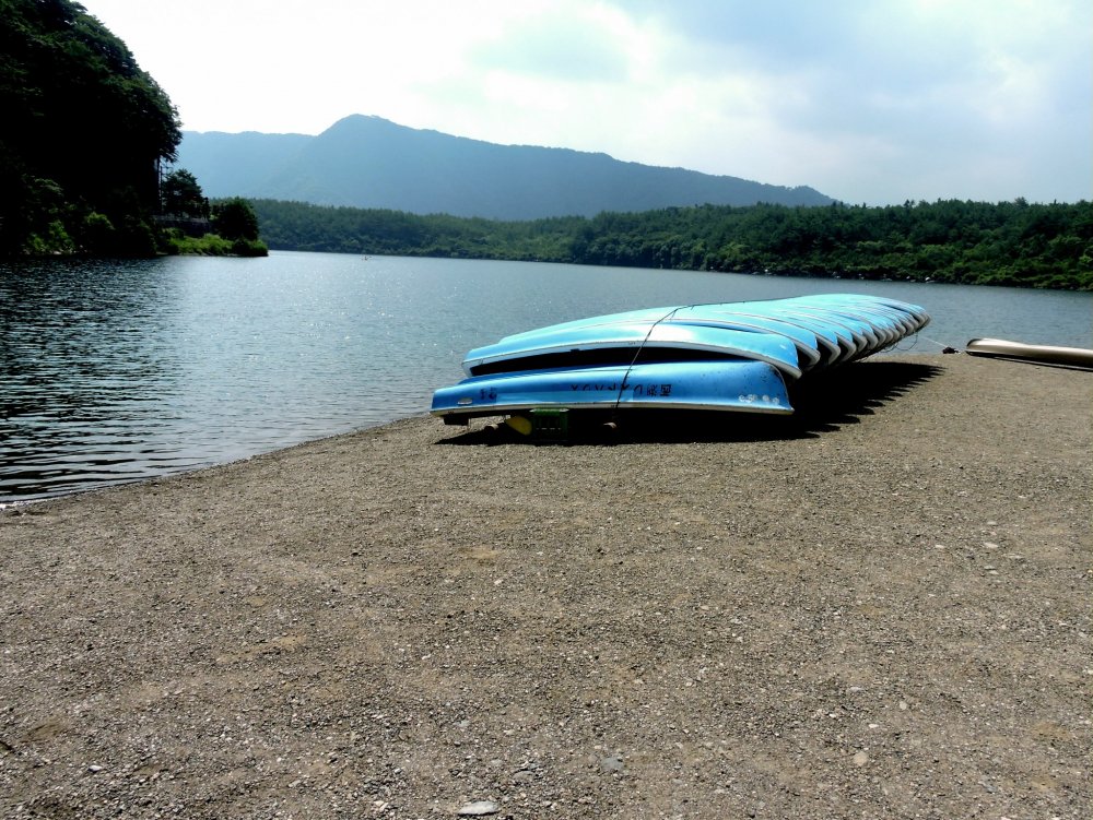 Um pequeno barco na margem do lago