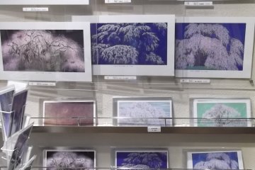 <p>Цветы сакуры в изобилии - открытки и гравюры в сувенирном магазине</p>