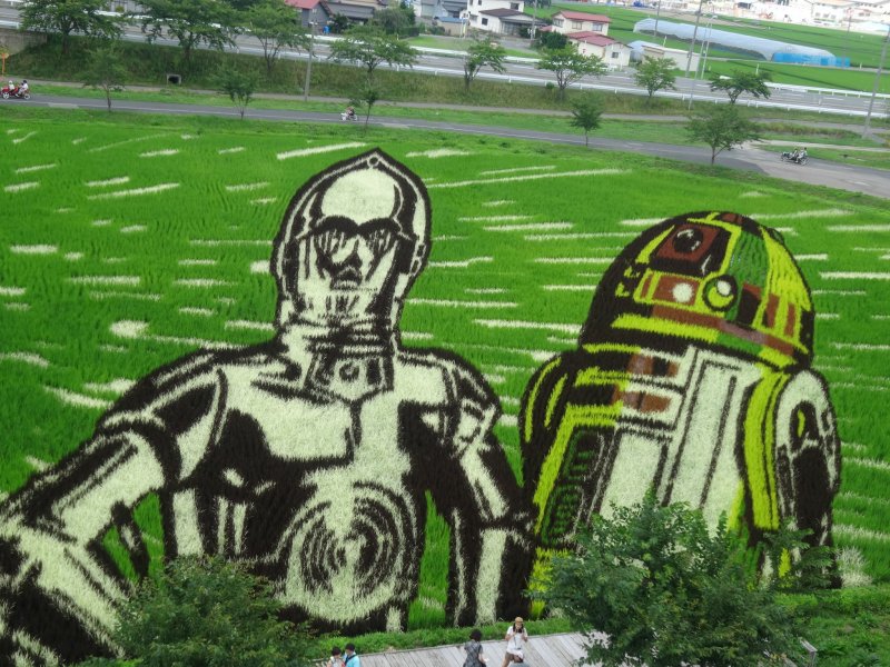 <p>หุ่นยต์ C3PO และ R2D2 ก็ปรากฏตัวด้วย</p>