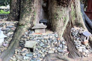<p>Tucked away in the roots</p>