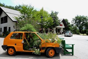 An old orange car used as a planter