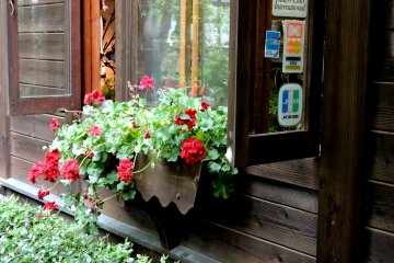 <p>A window box with red geraniums</p>