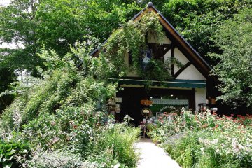 <p>The garden is swallowing this store!</p>
