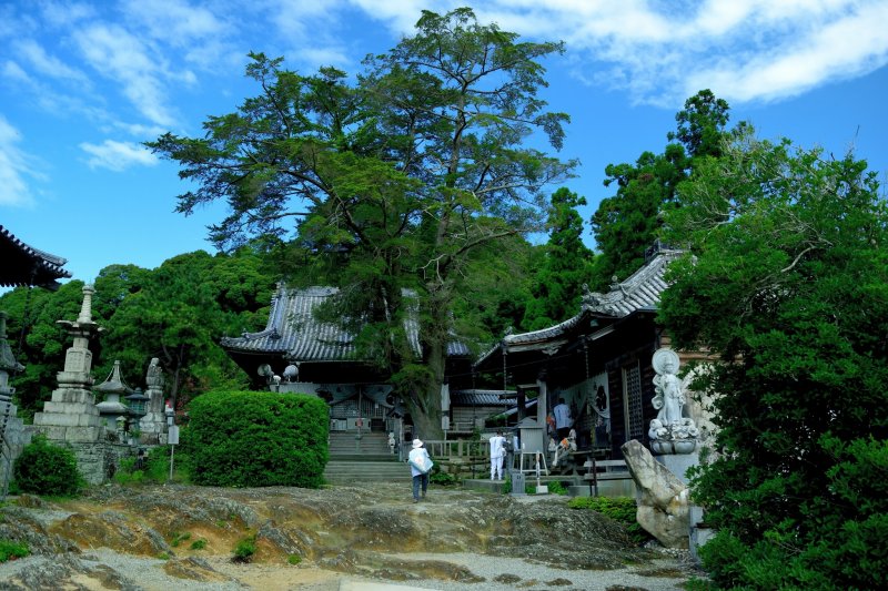 <p>Garden of Ryusui-gan (14th temple)</p>