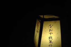 แสงจากเจ้าหิ่งห้อยตัวน้อยที่กระพริบแข่งกับแสงไฟอันแรงจ้าที่ Kinosaki onsen
&nbsp;