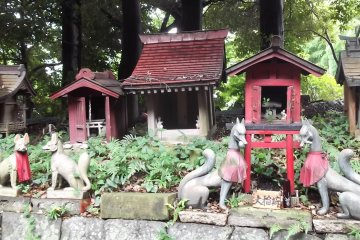 <p>Some of the miniature side shrines, complete with little torii gates</p>