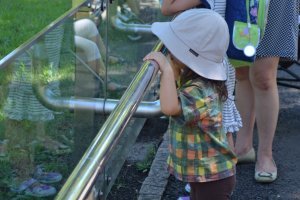 เด็กที่มาชมสวนสัตว์