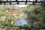 京都・妙心寺「退蔵院庭園」