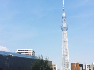 Tokyo Skytree can be seen from the Sumida River area among other buildings.