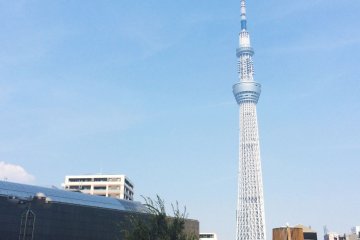 <p>Tokyo Skytree can be seen from the Sumida River area among other buildings.</p>