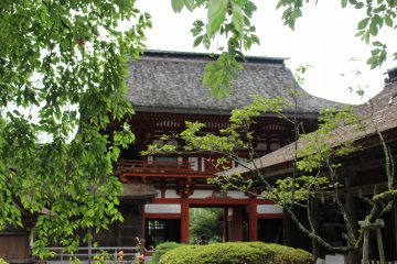 <p>The Sakuramon Gate obscured by the sakura tree</p>