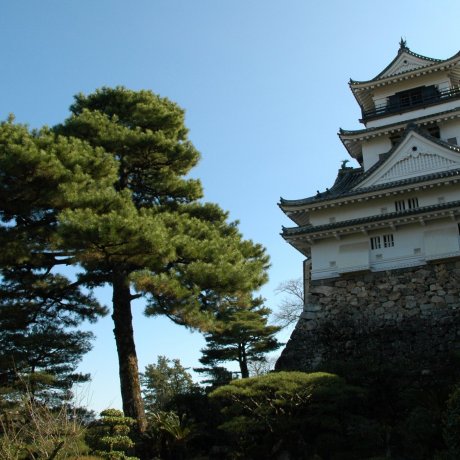 Kochi Castle Tour and History