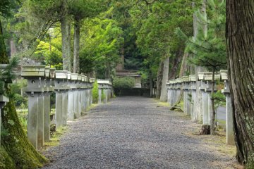 <p>Looking up the omotesando toward the inner shrine</p>