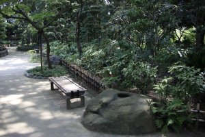 A bamboo bench