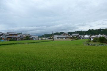 <p>On the train you can also get good views of the more quiet parts of Kansai.</p>